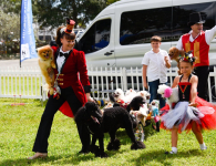 Photo of Menestrelli Dog Show Photo of Menestrelli Dog Show