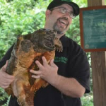 Photo of Wild Wonders Animal Show Photo of Wild Wonders Animal Show